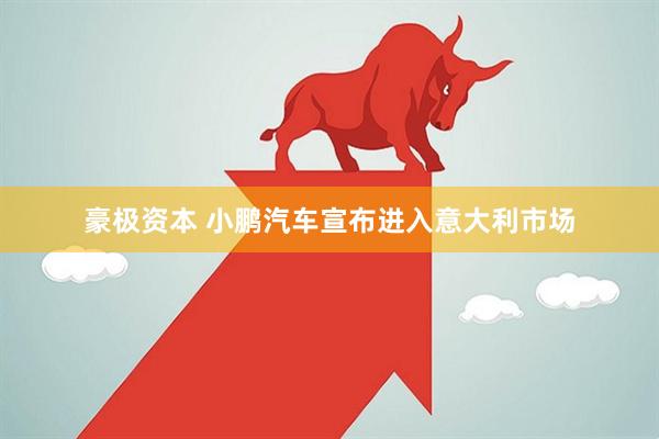 豪极资本 小鹏汽车宣布进入意大利市场