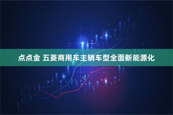 点点金 五菱商用车主销车型全面新能源化