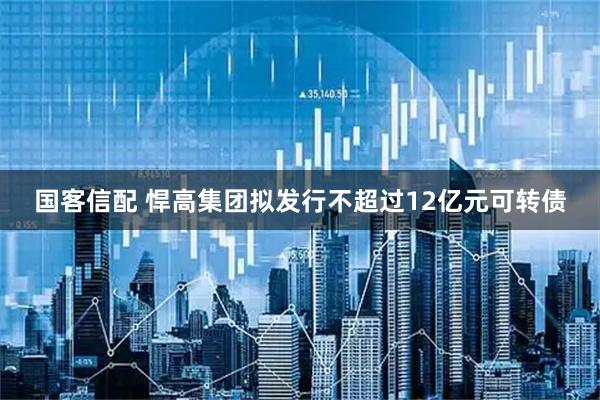 国客信配 悍高集团拟发行不超过12亿元可转债
