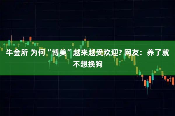牛金所 为何“博美”越来越受欢迎? 网友：养了就不想换狗
