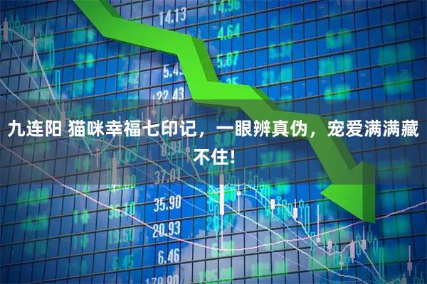 九连阳 猫咪幸福七印记，一眼辨真伪，宠爱满满藏不住!