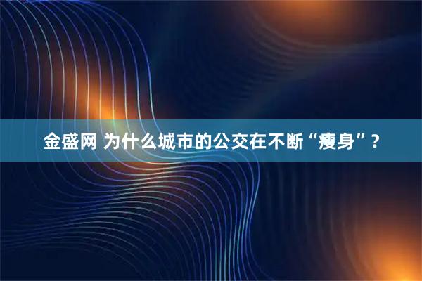 金盛网 为什么城市的公交在不断“瘦身”？
