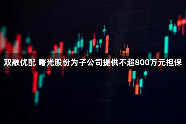双融优配 曙光股份为子公司提供不超800万元担保