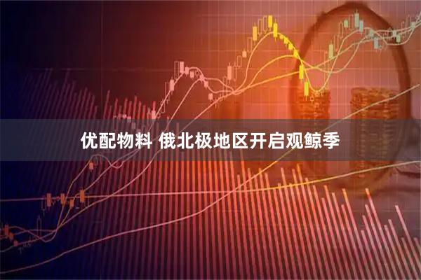 优配物料 俄北极地区开启观鲸季